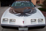 1980 Trans Am Indianapolis 500 Pace Car