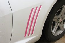 Solid Hot Pink  1